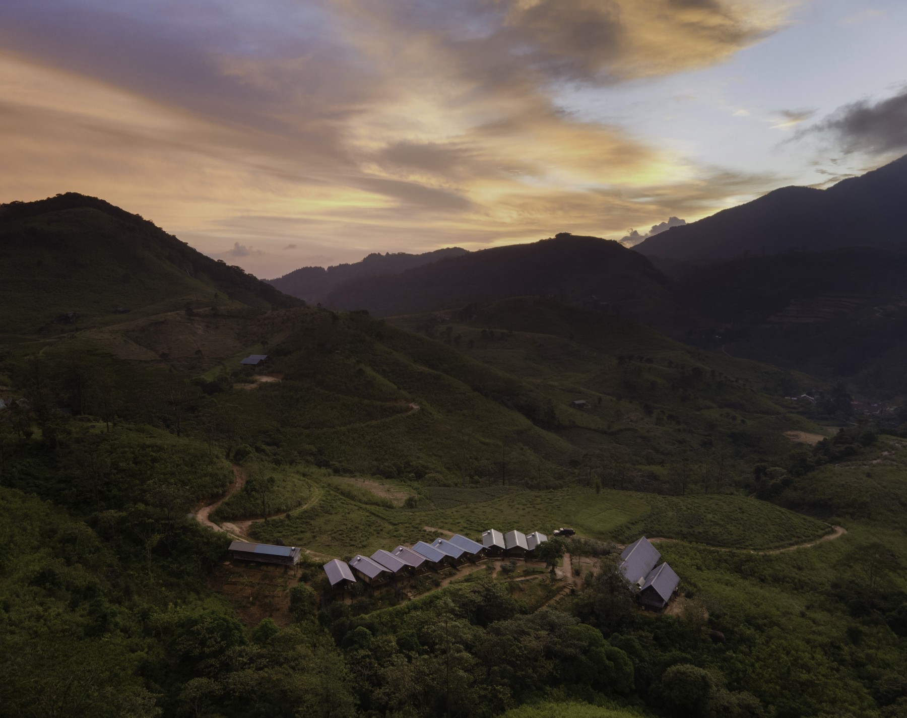 Wild Glamping Knuckles